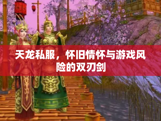 天龙私服，怀旧情怀与游戏风险的双刃剑