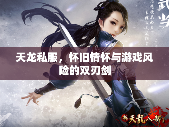 天龙私服，怀旧情怀与游戏风险的双刃剑