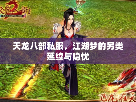 天龙八部私服，江湖梦的另类延续与隐忧