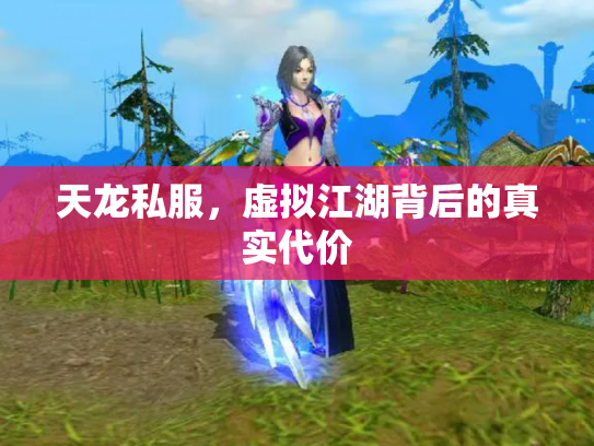 天龙私服，虚拟江湖背后的真实代价