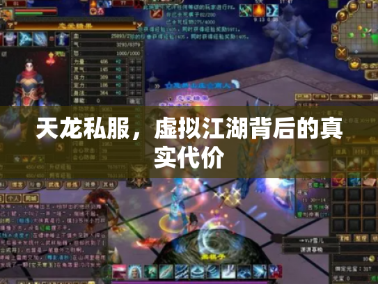 天龙私服，虚拟江湖背后的真实代价