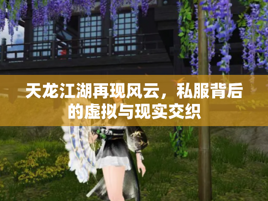 天龙江湖再现风云，私服背后的虚拟与现实交织