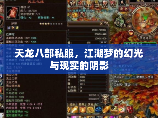 天龙八部私服，江湖梦的幻光与现实的阴影