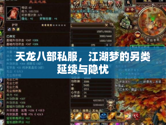 天龙八部私服，江湖梦的另类延续与隐忧