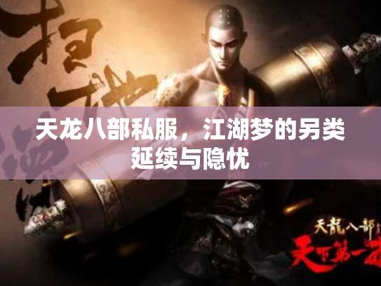 天龙八部私服，江湖梦的另类延续与隐忧