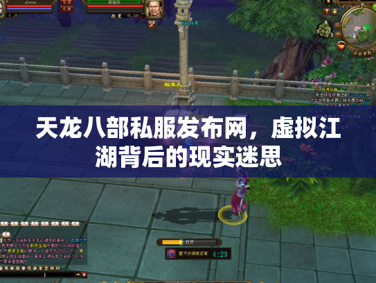 天龙八部私服发布网，虚拟江湖背后的现实迷思