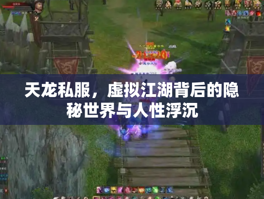 天龙私服，虚拟江湖背后的隐秘世界与人性浮沉