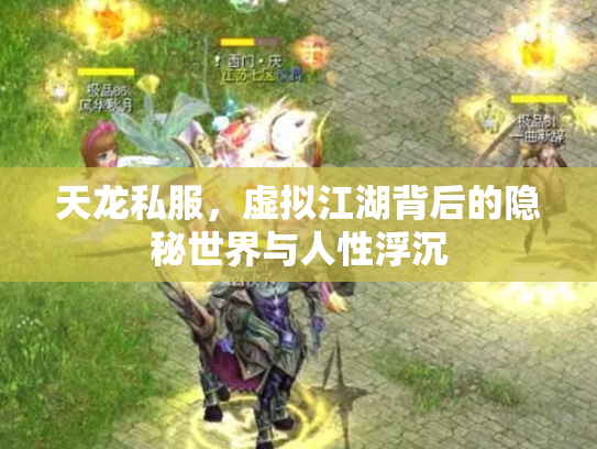 天龙私服，虚拟江湖背后的隐秘世界与人性浮沉