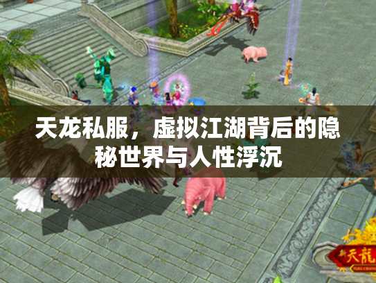 天龙私服，虚拟江湖背后的隐秘世界与人性浮沉