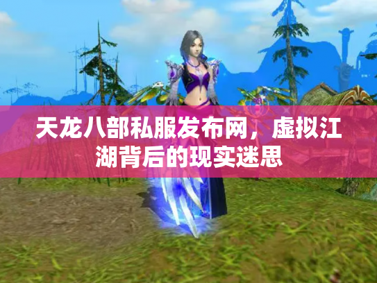 天龙八部私服发布网，虚拟江湖背后的现实迷思