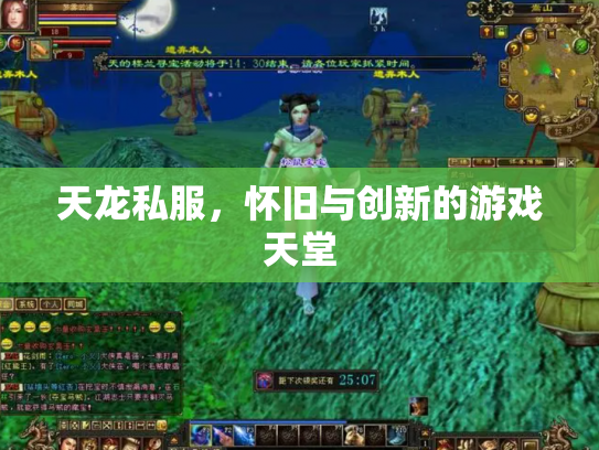 天龙私服，怀旧与创新的游戏天堂