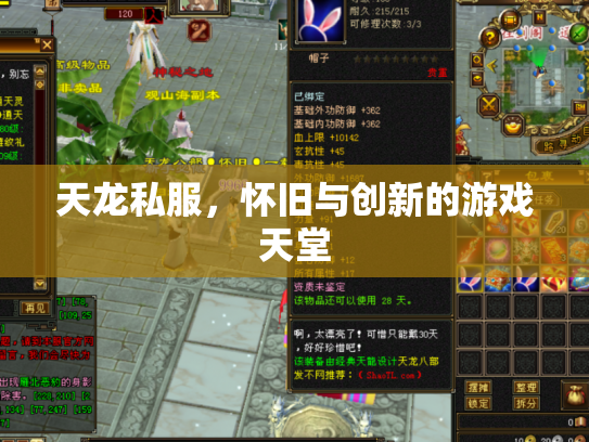 天龙私服，怀旧与创新的游戏天堂