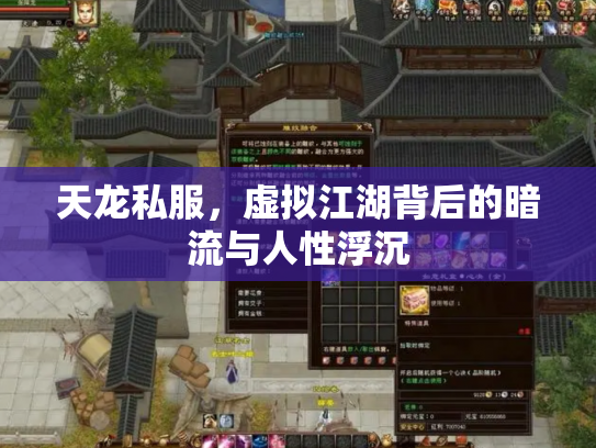 天龙私服，虚拟江湖背后的暗流与人性浮沉
