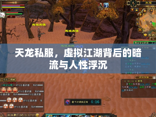 天龙私服，虚拟江湖背后的暗流与人性浮沉