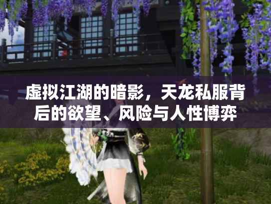 虚拟江湖的暗影，天龙私服背后的欲望、风险与人性博弈