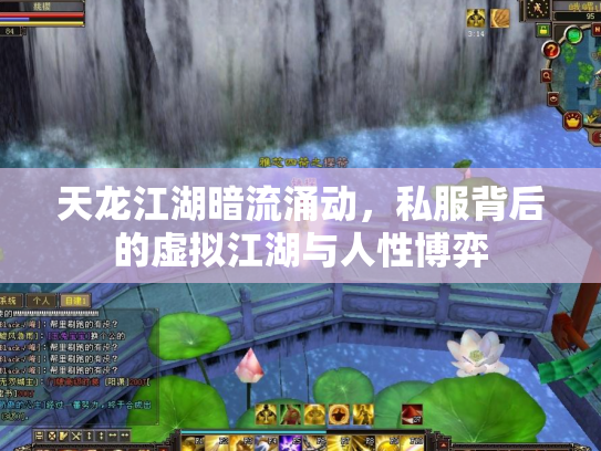 天龙江湖暗流涌动，私服背后的虚拟江湖与人性博弈