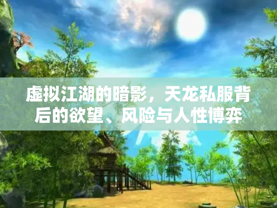 虚拟江湖的暗影，天龙私服背后的欲望、风险与人性博弈