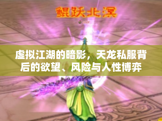 虚拟江湖的暗影，天龙私服背后的欲望、风险与人性博弈