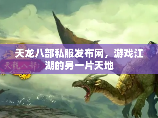 天龙八部私服发布网，游戏江湖的另一片天地