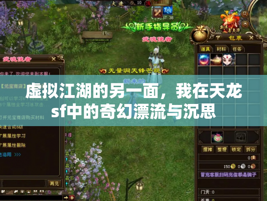虚拟江湖的另一面，我在天龙sf中的奇幻漂流与沉思