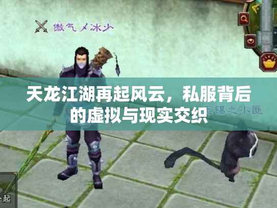天龙江湖再起风云，私服背后的虚拟与现实交织