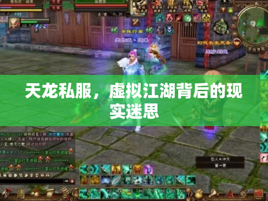 天龙私服，虚拟江湖背后的现实迷思