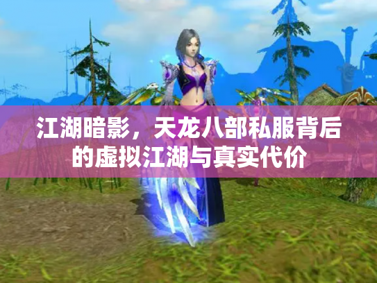 江湖暗影，天龙八部私服背后的虚拟江湖与真实代价