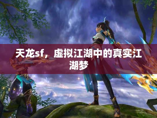 天龙sf，虚拟江湖中的真实江湖梦