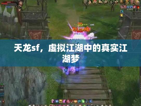 天龙sf，虚拟江湖中的真实江湖梦