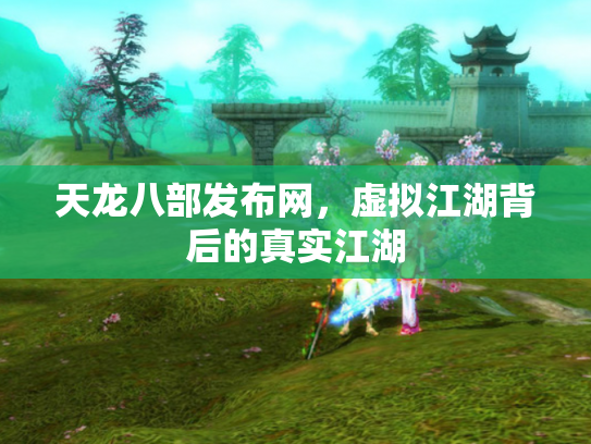 天龙八部发布网，虚拟江湖背后的真实江湖