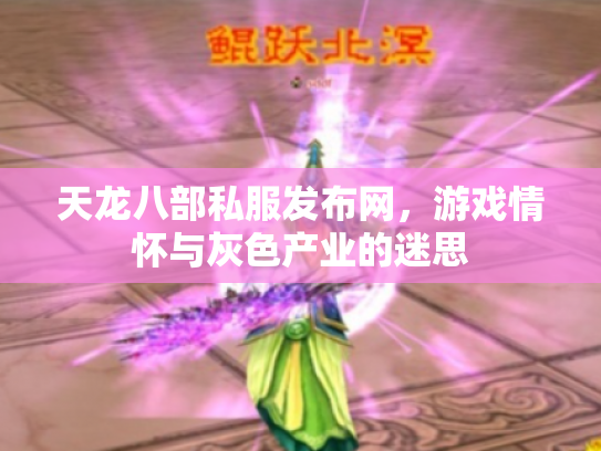 天龙八部私服发布网，游戏情怀与灰色产业的迷思