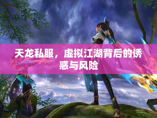 天龙私服，虚拟江湖背后的诱惑与风险
