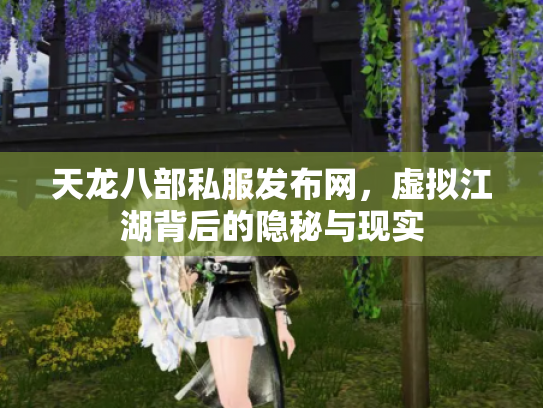 天龙八部私服发布网，虚拟江湖背后的隐秘与现实