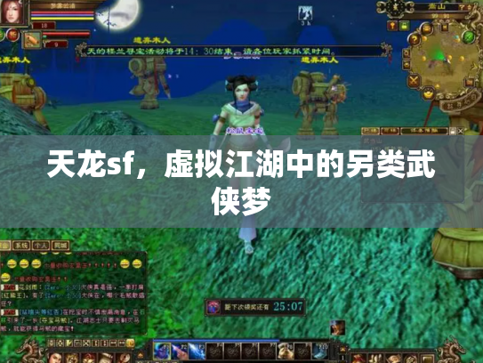 天龙sf，虚拟江湖中的另类武侠梦