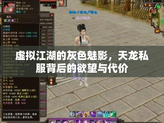 虚拟江湖的灰色魅影，天龙私服背后的欲望与代价
