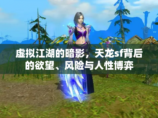 虚拟江湖的暗影，天龙sf背后的欲望、风险与人性博弈