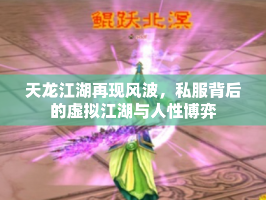 天龙江湖再现风波，私服背后的虚拟江湖与人性博弈