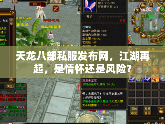 天龙八部私服发布网，江湖再起，是情怀还是风险？