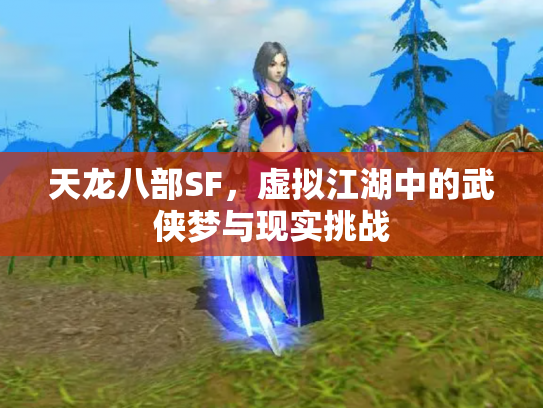 天龙八部SF，虚拟江湖中的武侠梦与现实挑战