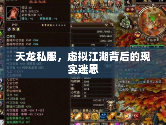 天龙私服，虚拟江湖背后的现实迷思