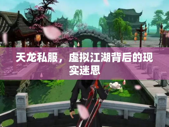 天龙私服，虚拟江湖背后的现实迷思