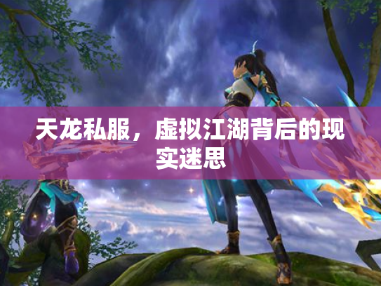天龙私服，虚拟江湖背后的现实迷思