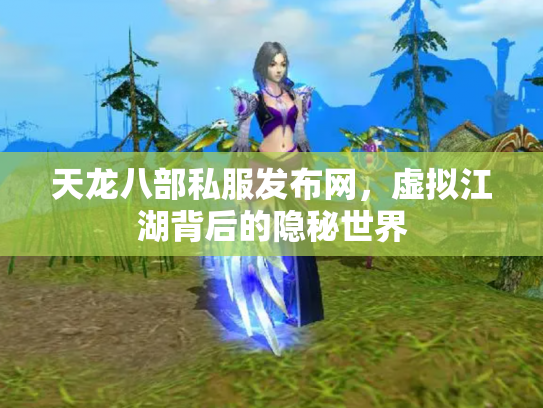 天龙八部私服发布网，虚拟江湖背后的隐秘世界