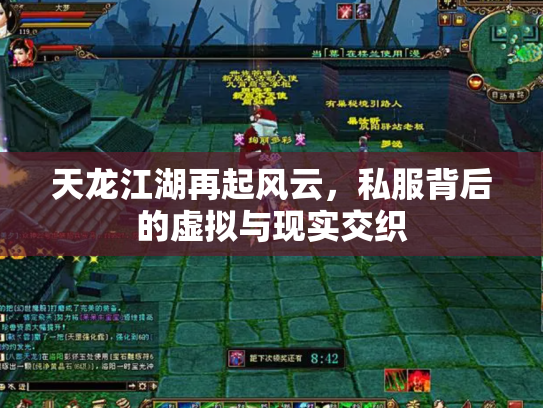 天龙江湖再起风云，私服背后的虚拟与现实交织