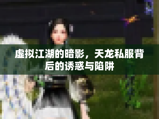 虚拟江湖的暗影，天龙私服背后的诱惑与陷阱