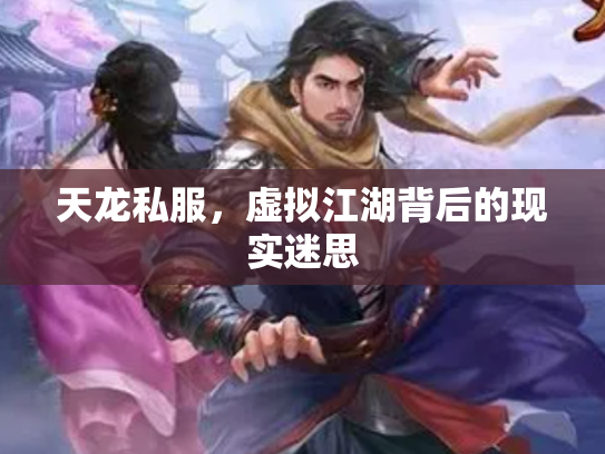 天龙私服，虚拟江湖背后的现实迷思