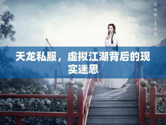 天龙私服，虚拟江湖背后的现实迷思