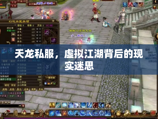 天龙私服，虚拟江湖背后的现实迷思