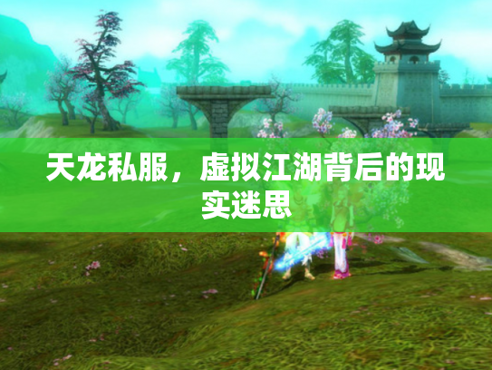 天龙私服，虚拟江湖背后的现实迷思