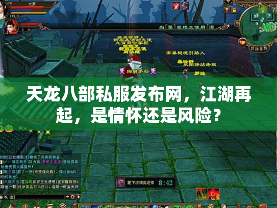 天龙八部私服发布网，江湖再起，是情怀还是风险？